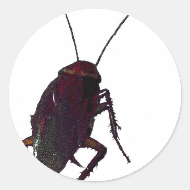 Adesivo Redondo Cockroach (Frente)