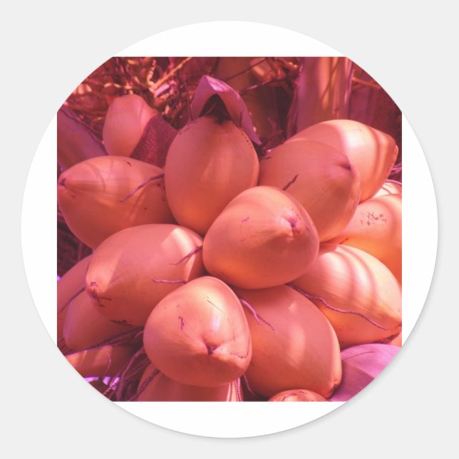 Adesivo Redondo cocos em cor (Frente)