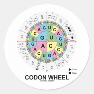 Adesivo Redondo Codon Wheel (RNA Codons Aminoácidos)