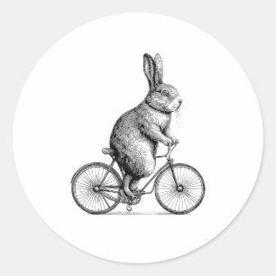 Adesivo Redondo Coelho Em Bicicleta De Bicicleta De Bicicleta W