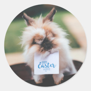 ADESIVO REDONDO COELHO PERSONALIZÁVEL EM STICKER REDONDO DE PÁSCOA