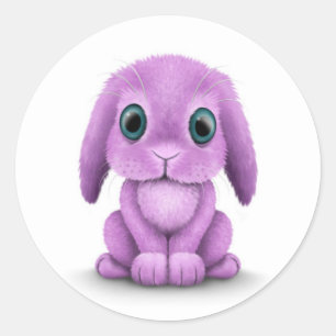 Adesivo Redondo Coelho roxo bonito do bebê no branco