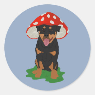 Adesivo Redondo Cogumelo de primavera Rottweiler personalizável
