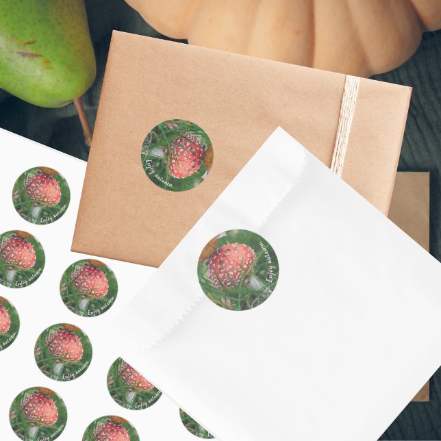 Adesivo Redondo Cogumelo-do-campo (Criador carregado)