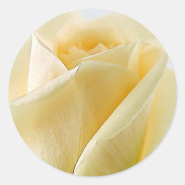 Adesivo Redondo Colas de rosa branca e selos de envelopes (Frente)