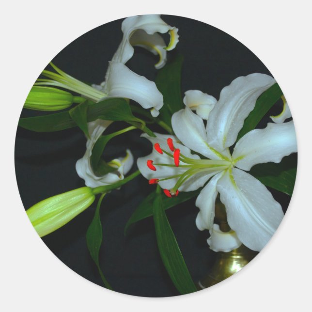 Adesivo Redondo Coleção de Design e Flores irlandesas (Frente)