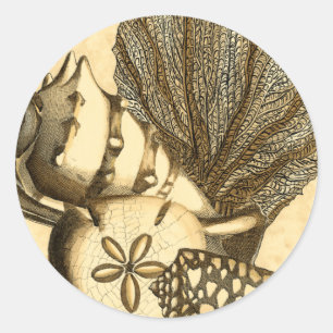 Adesivo Redondo Coleção Neutral de Cascas e Corais