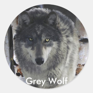 Adesivo Redondo Coleção WOLF CINZA PACK