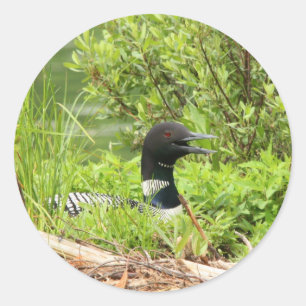 Adesivo Redondo Coletor de Colchões