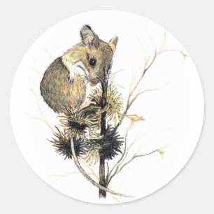 Adesivo Redondo Coletor de Mouse Cortante