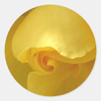 Adesivo Redondo Coletor de Rosa Amarelo