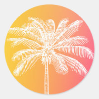 Coletor solar da palmeira branca-tropical