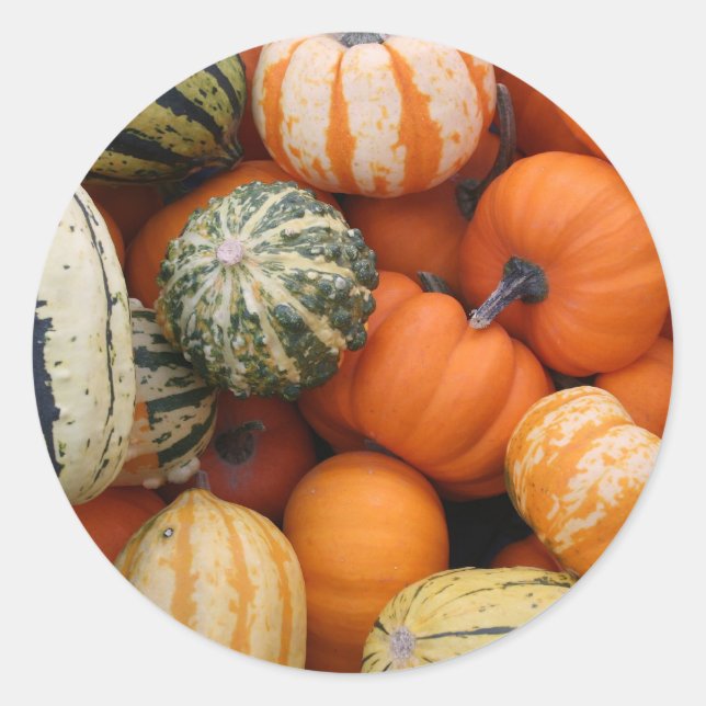 Adesivo Redondo Colheita de Queda (Frente)