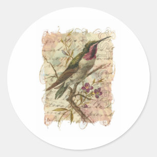 Adesivo Redondo Colibri do vintage