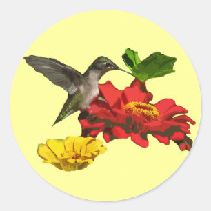 Adesivo Redondo Colibri e Zinnias