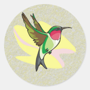 Adesivo Redondo Colibri em vôo no fundo Textured
