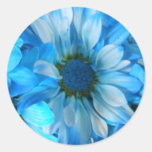 Adesivo Redondo Collaert