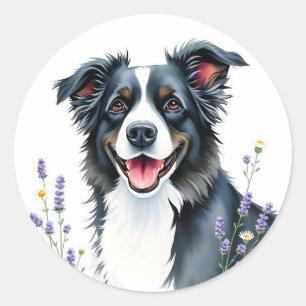 Adesivo Redondo Collie de Borda de Aquarela com Lavanda e Visitas