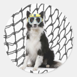 Adesivo Redondo Collie Ditzy de Dogs~Original Sticker~Border