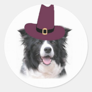 Adesivo Redondo Collie Ditzy Sticker~Thanksgiving de Dogs~Border