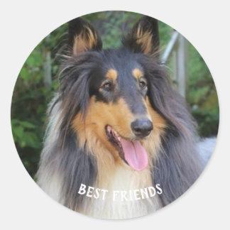 Adesivo Redondo Collie dog Best FRIENDS