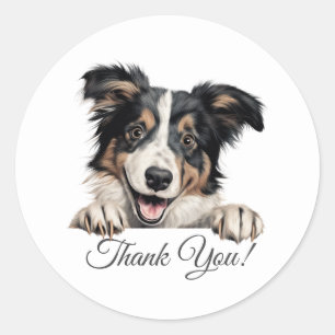 Adesivo Redondo Collie Dog Obrigado