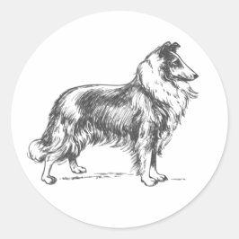 Adesivo Redondo Collie Dog Sticker