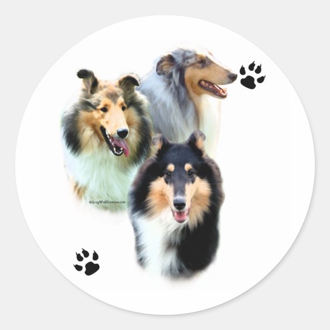 Adesivo Redondo Collie Trio - Sticker (Frente)