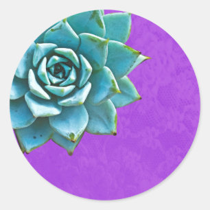 Adesivo Redondo Coloração d'água Suculta Roxo
