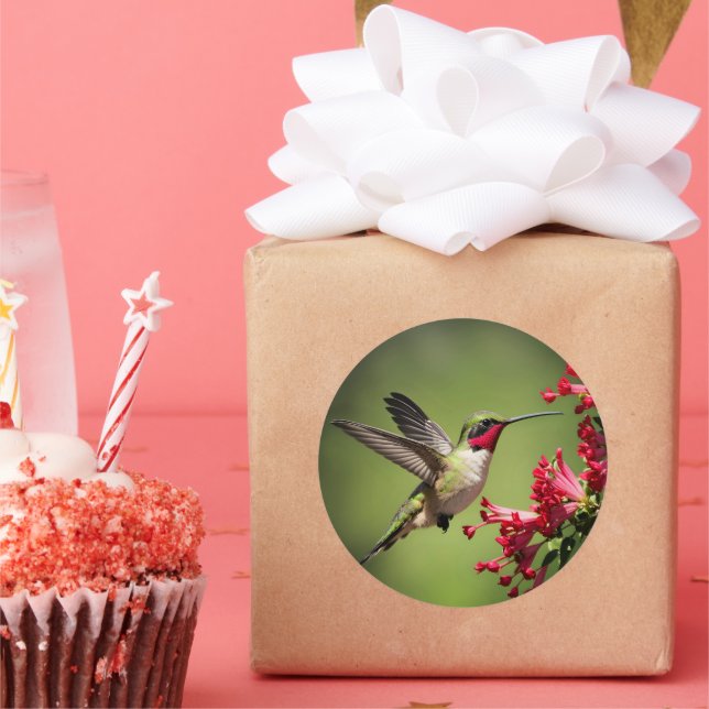 Adesivo Redondo Colorful Hummingbird (Festa)