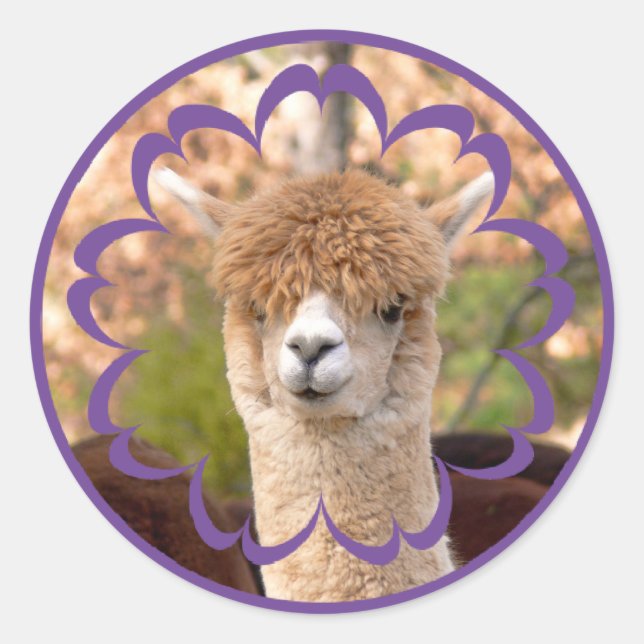 Adesivo Redondo Colorida Alpaca Birthday Stickers (Frente)