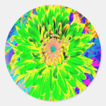 Colorida Dália Florindo em Verde Lima e Amarelo
