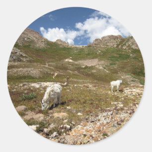 Adesivo Redondo Columbine Lake Mountain Goats - Colorado
