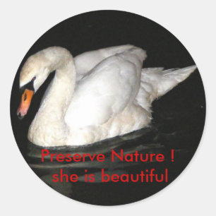 Adesivo redondo com cisne