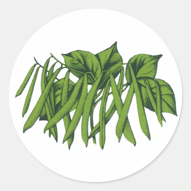 Adesivo Redondo Comida de vindima, feijões verdes orgânicos (Frente)