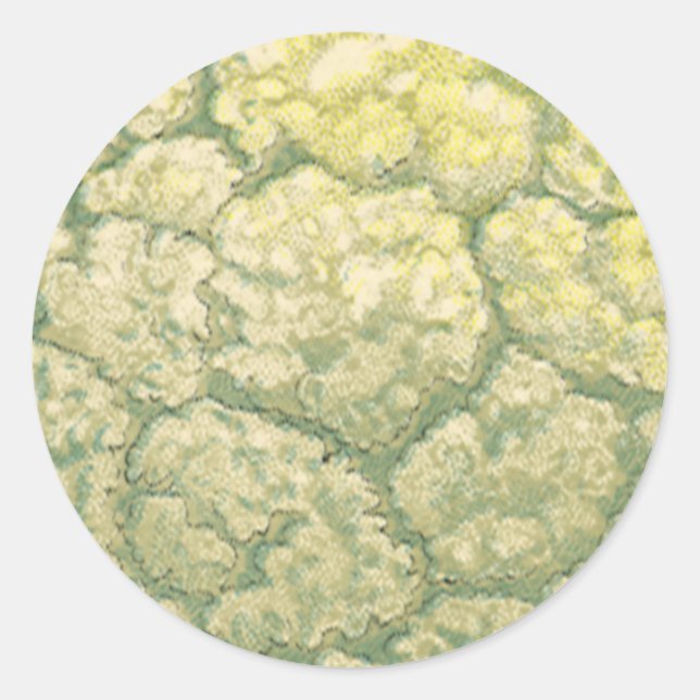 Adesivo Redondo Comidas vegetais vegetais vegetais vegetais vegeta (Frente)