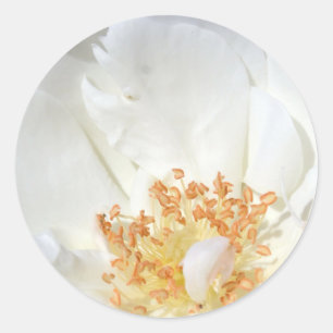 Adesivo Redondo Como um punhal redondo 2