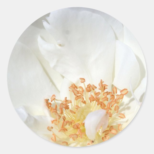 Adesivo Redondo Como um punhal redondo 2 (Frente)