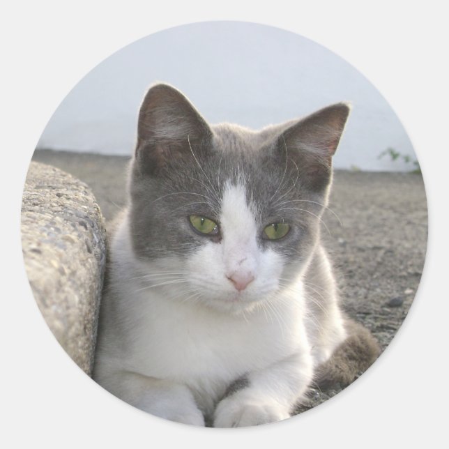 Adesivo Redondo "Computador a cores" (Frente)