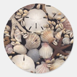 Adesivo Redondo Conchas