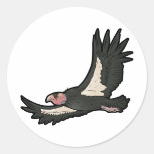 Adesivo Redondo Condor de Califórnia