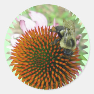 Adesivo Redondo Coneflower & Eastern Carpenter Bee Itens de Abelha