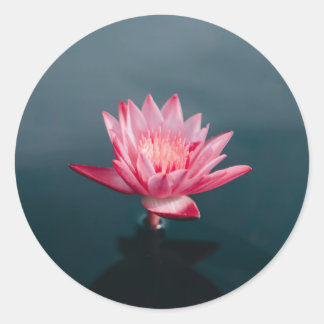 Adesivo Redondo Conjunto de Cartão de Saudação da Flor Rosa