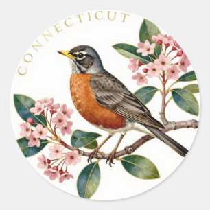 Adesivo Redondo Connecticut American Robin Estado Ave Botânica