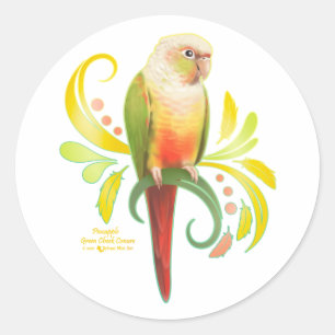 Adesivo Redondo Conure verde de abacaxi