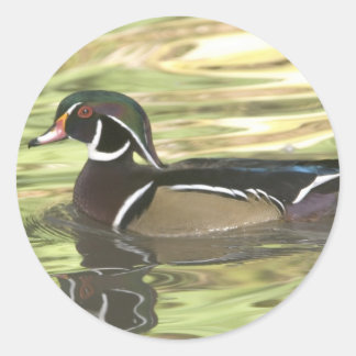 Adesivo Redondo Cópia de cópia DSC_0454