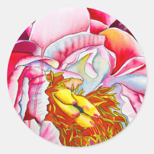 Adesivo Redondo Cor da água da flor da pénia rosa