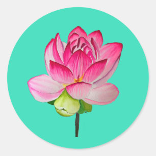 Adesivo Redondo Cor da água da flor de lótus rosa, arte fina