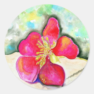 Adesivo Redondo Cor da Água do Flor de Morango Rosa