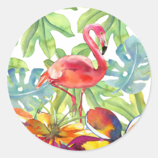 Adesivo Redondo Cor da Água do Pássaro Flamingo Tropical Rosa